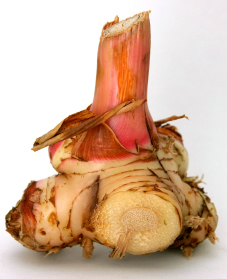 Image result for galangal